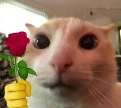 images.jpg
