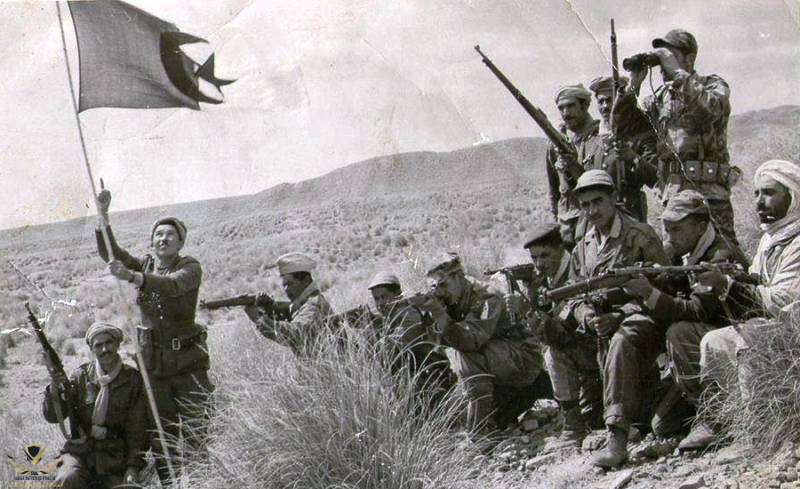 ثورة-جزائرية.jpg