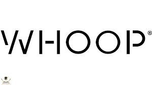 1773712380374.png