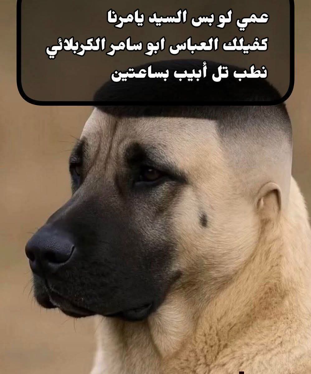 saeed.jpg