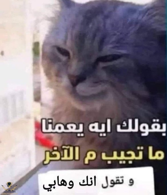 ٢٠٢٥٠٢٢٨_١٣٠٥١٩.jpg