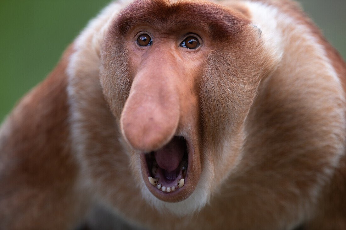 1774218363405.png