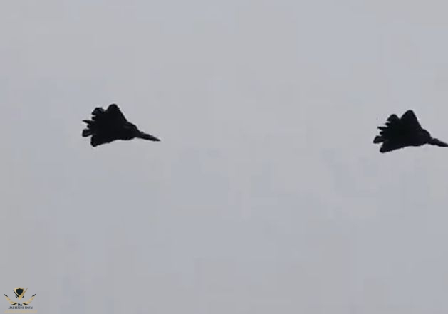 750.jpg
