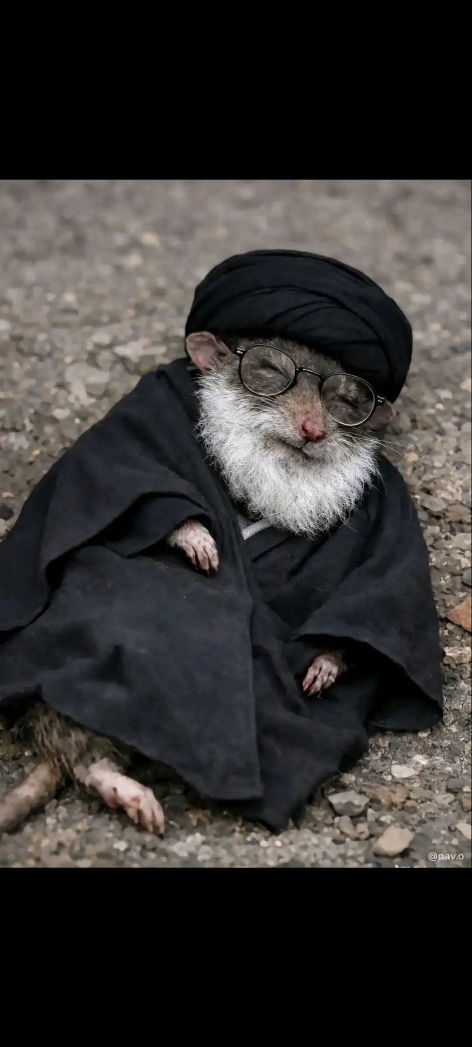 HEGh0y3bEAA5kd4.jpg