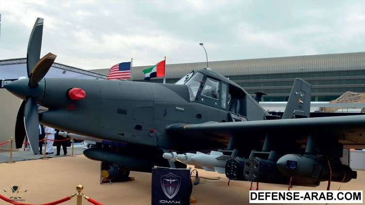 Archangel-on-watch-_IDEX17D4_.jpg
