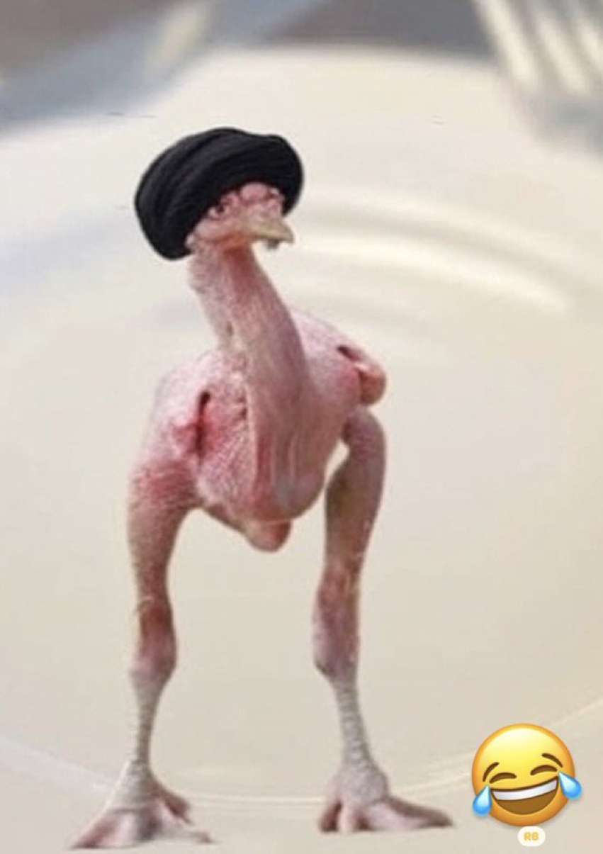 1774954662595.png