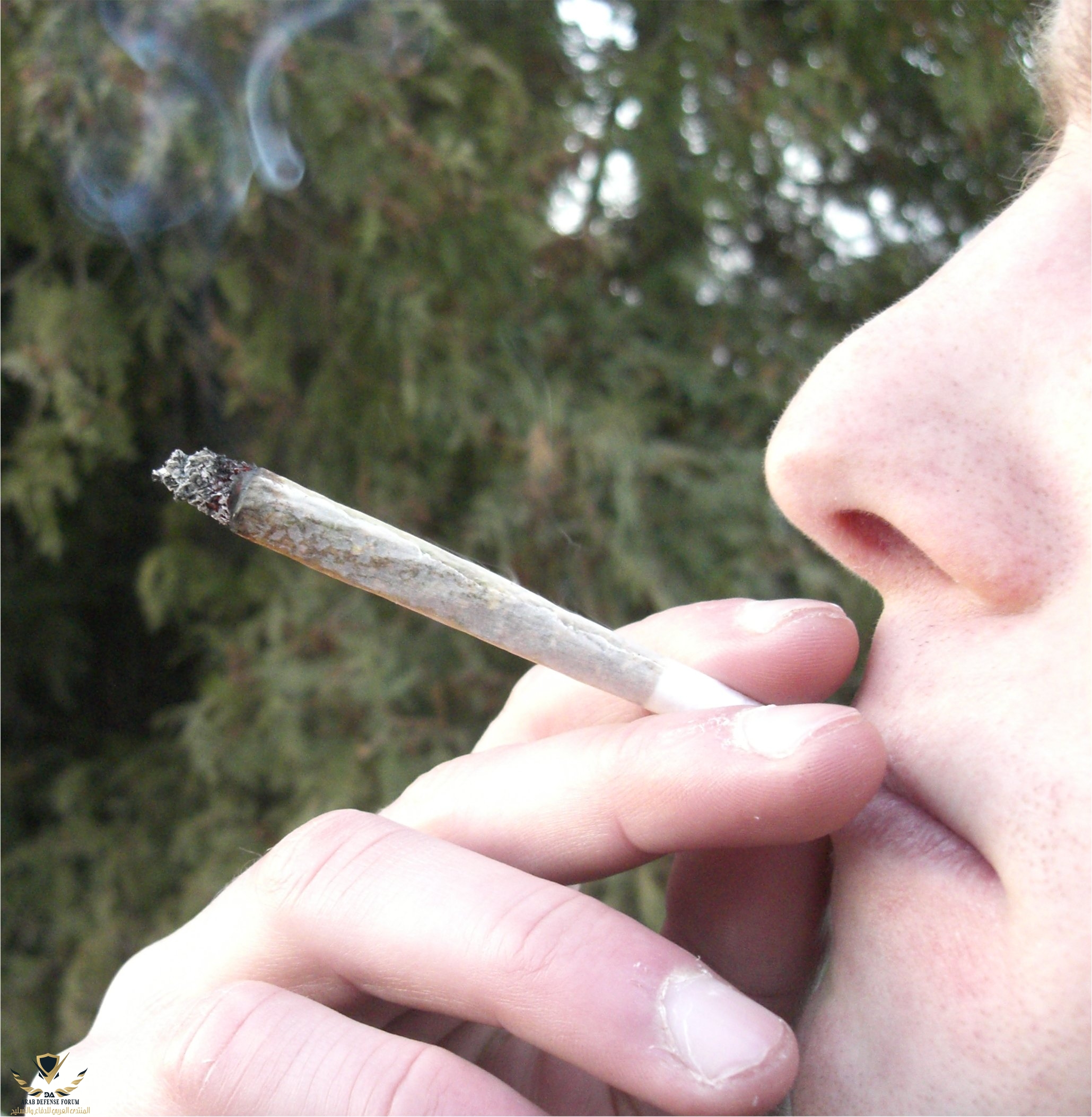 Joint(detail).jpg