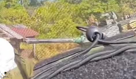 another-thai-vt-4-tank-suffers-a-gun-barrel-malfunction-v0-w7rvxfu8eu8g1.jpg