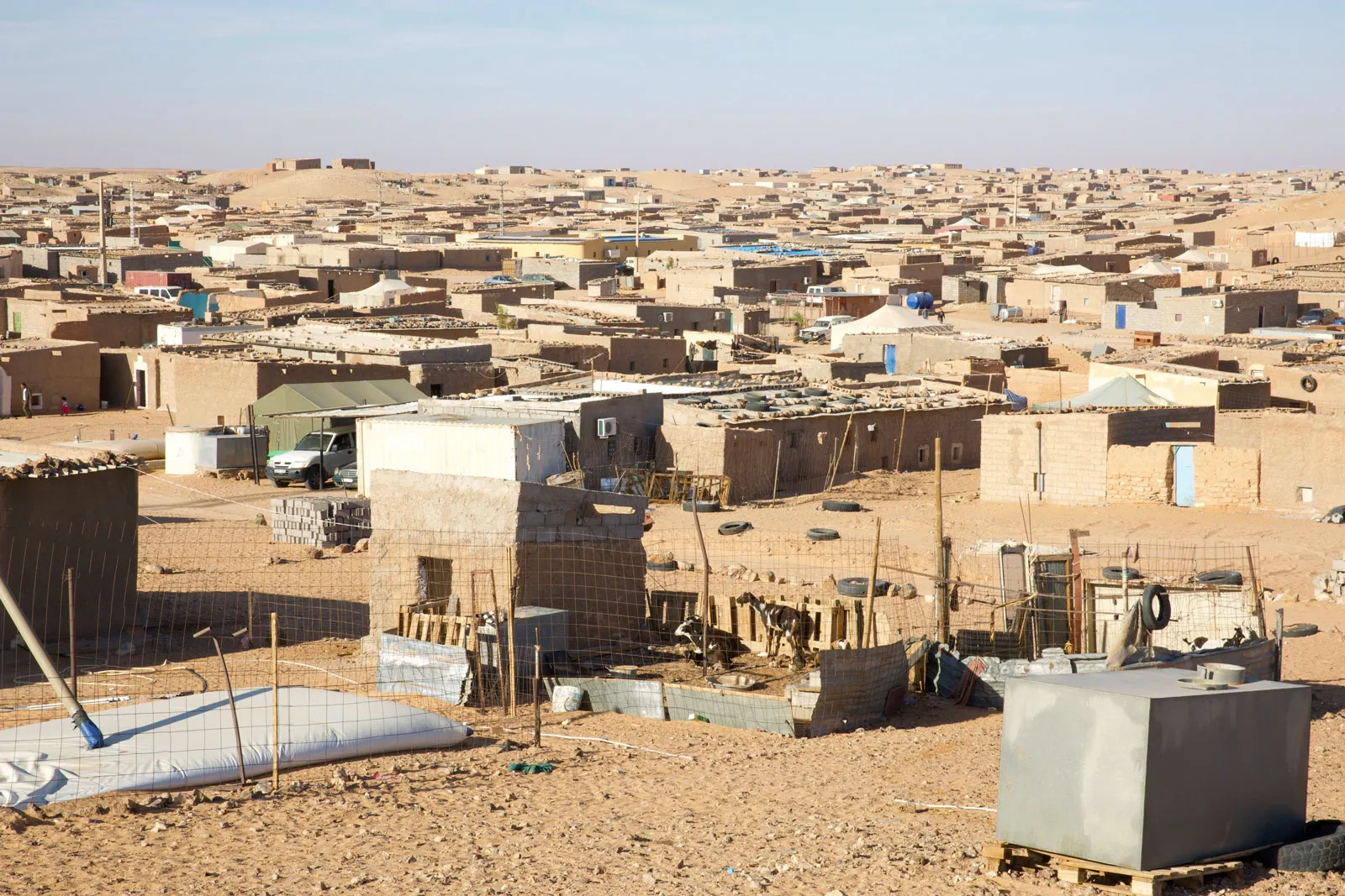 Saharawi-Refugees-Boujdour-Camp-Tindouf-Algeria-Depended-On-Aid-Diaspora-Support-Moroccos-Occ...webp