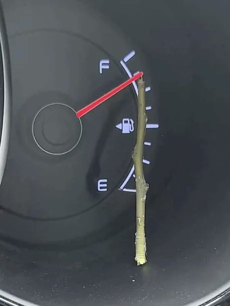 27818.jpg