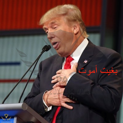 1777183585530.png
