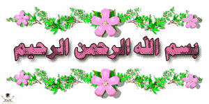 1777519068816.png