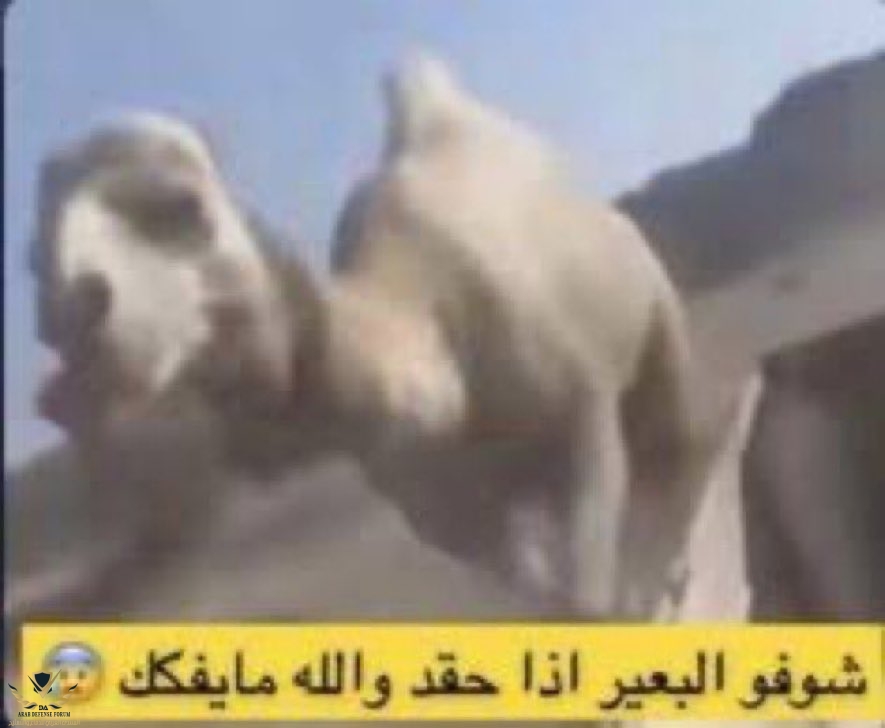 GXrKlHwXsAA5KT2.jpg