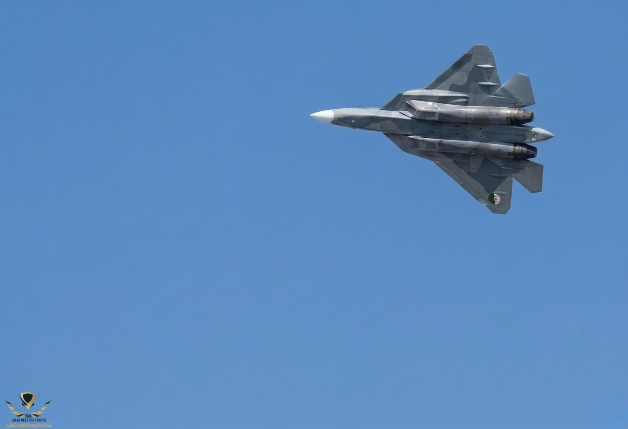 Sukhoi 57 AAF Camo gris.png