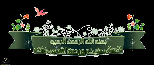 1778101671124.png