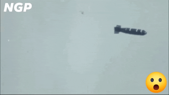 2026-05-08 08.33.04.gif