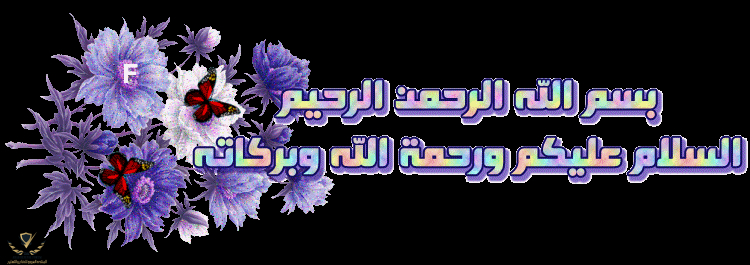 1778328195903.png