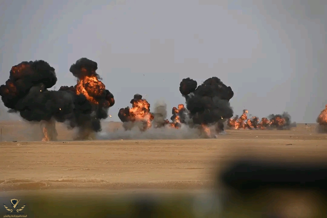 31070.jpg