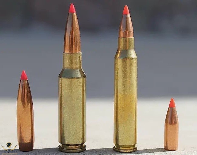picture-of-6.5-grendel-vs-5.56-223.jpg