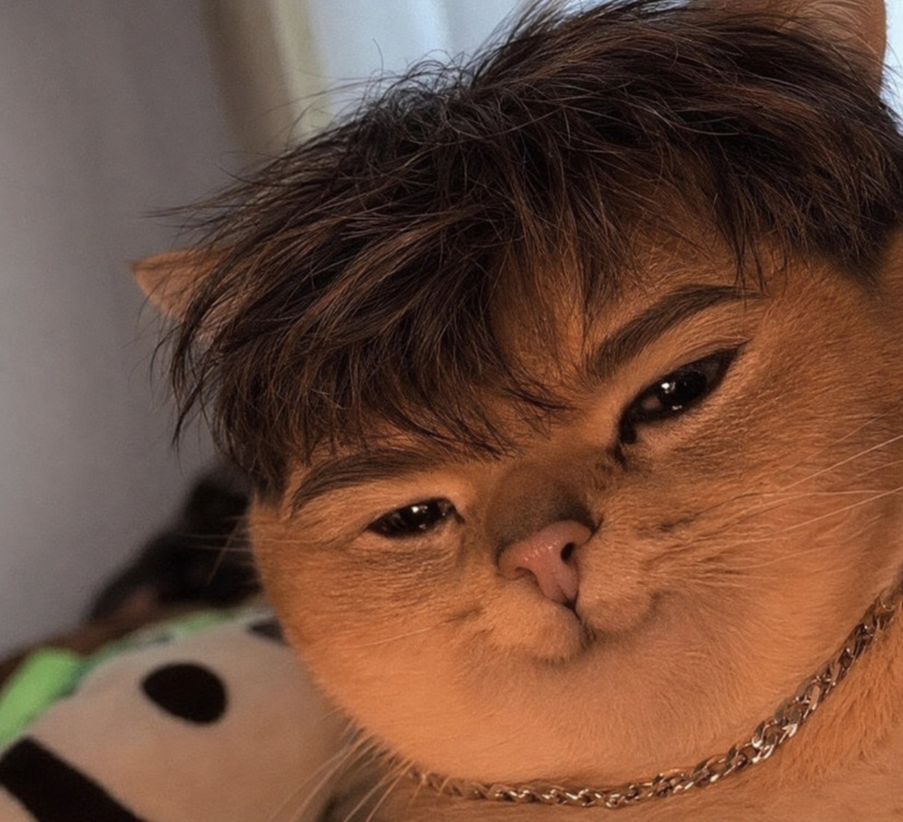 HIh3MCOXQAAi2MT.jpeg