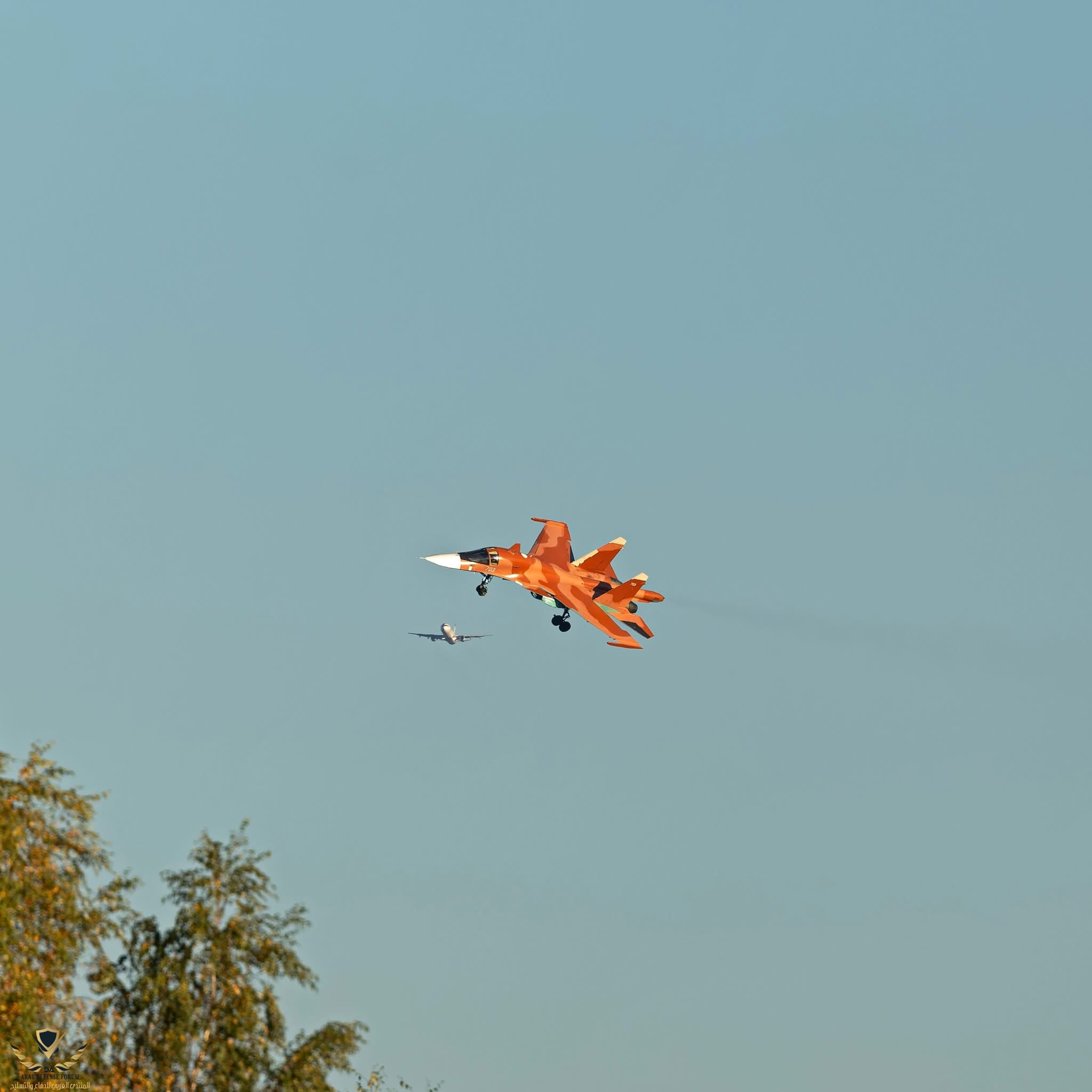 IMG_4483.jpeg
