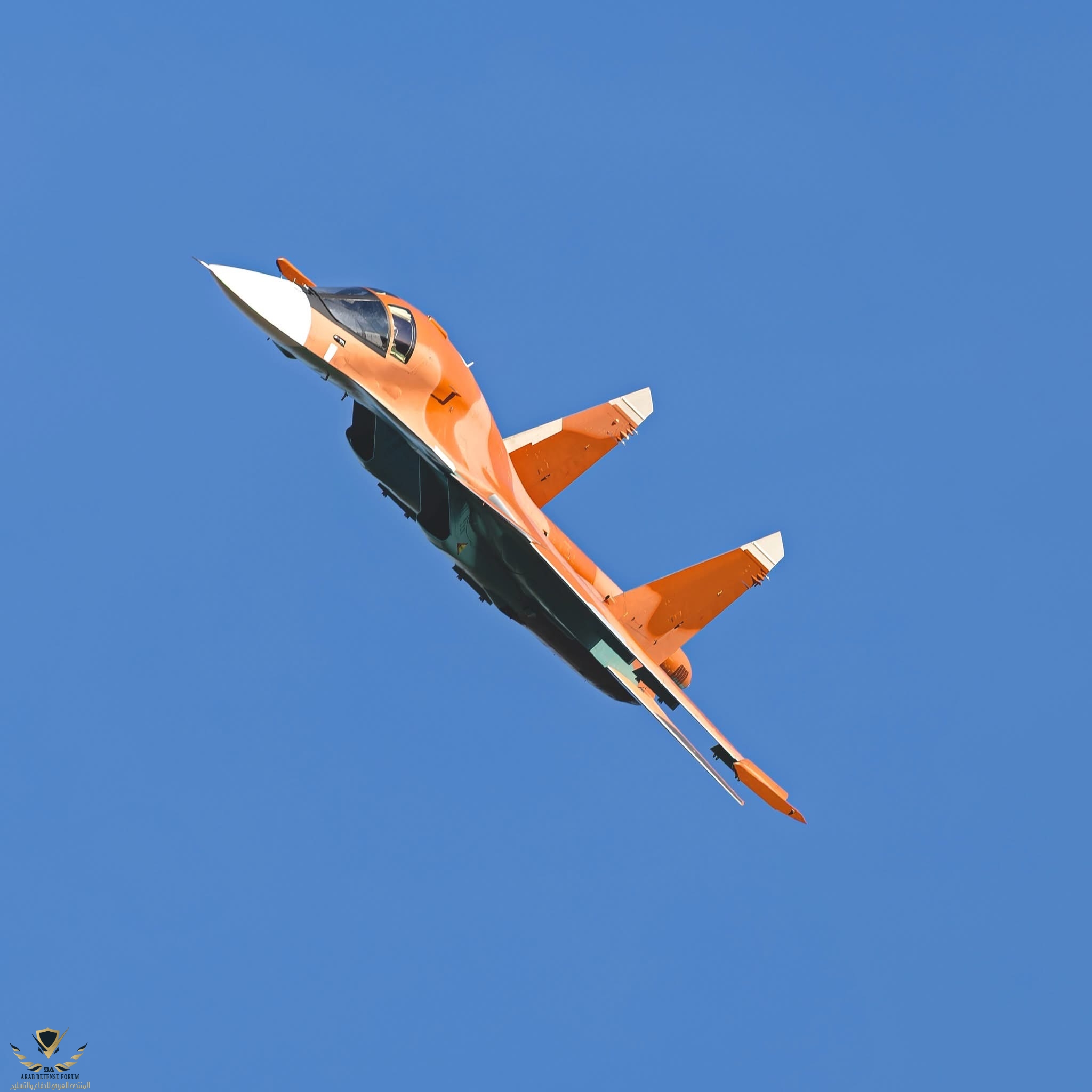 IMG_4480.jpeg