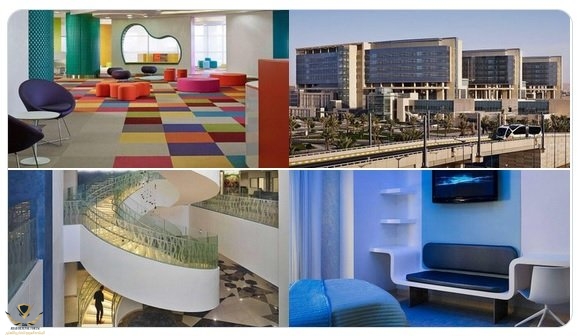 بدون عنوان.jpg