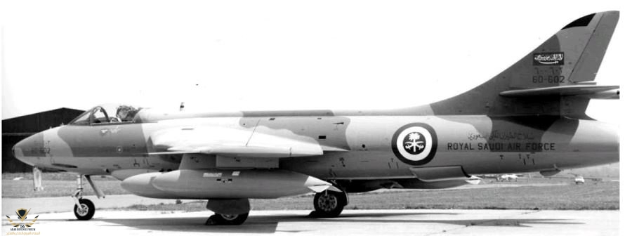 Saudi Hunter 602.JPG