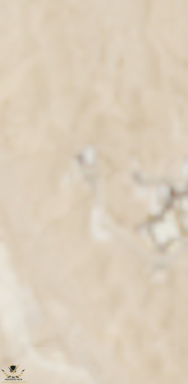 1000214089.jpg