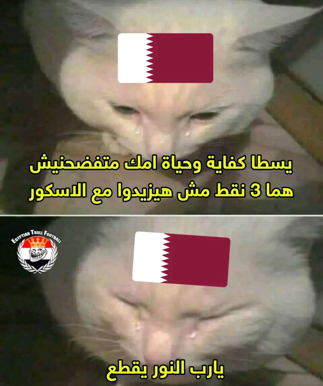 61474.jpg