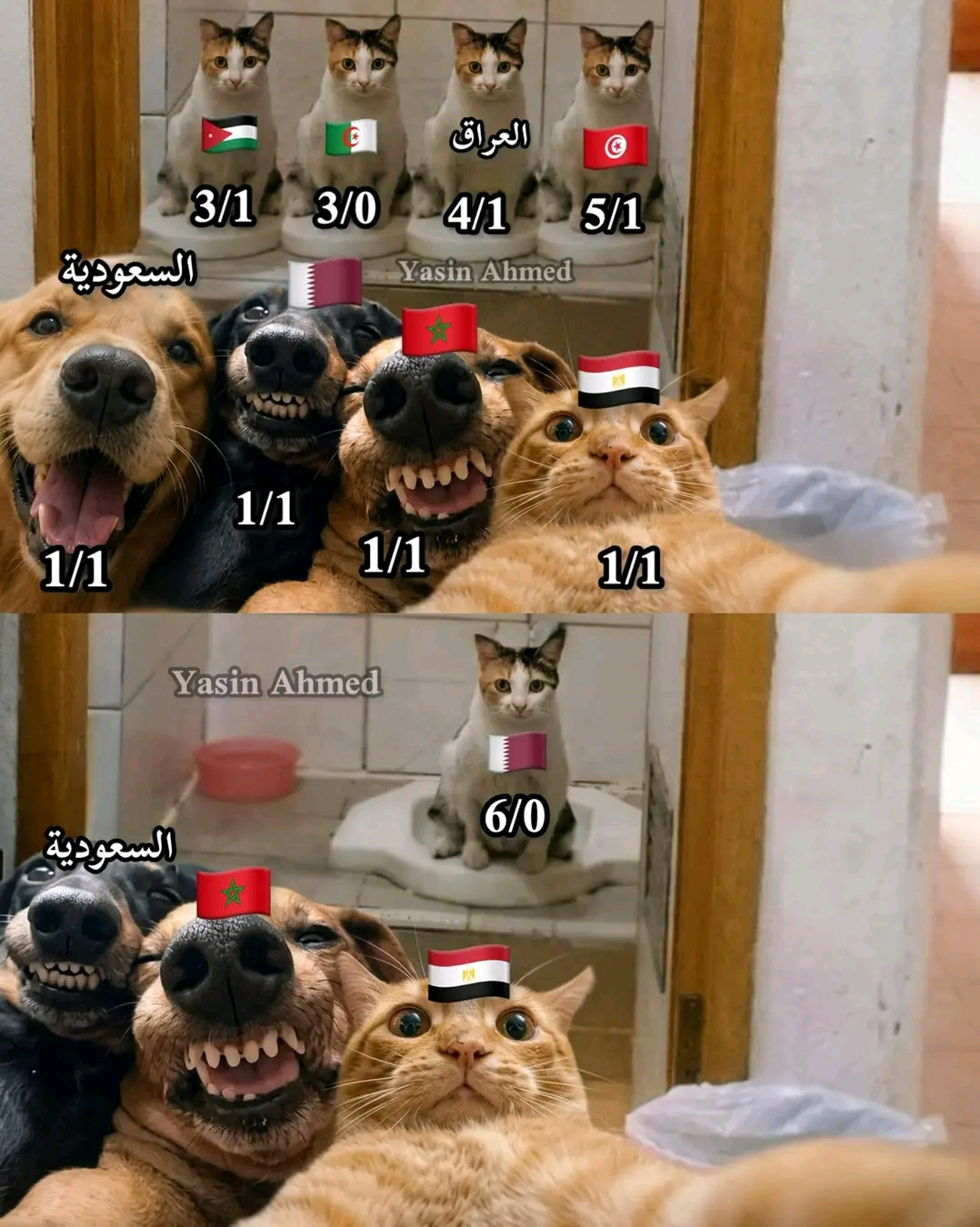 61527.jpg