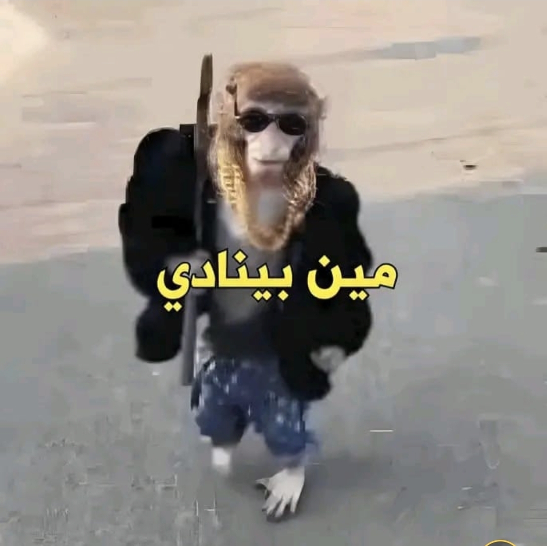 96056.jpg