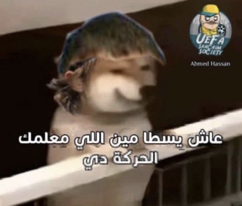 ٢٠٢٦٠٦٠٨_٢١١١٢٩.jpg
