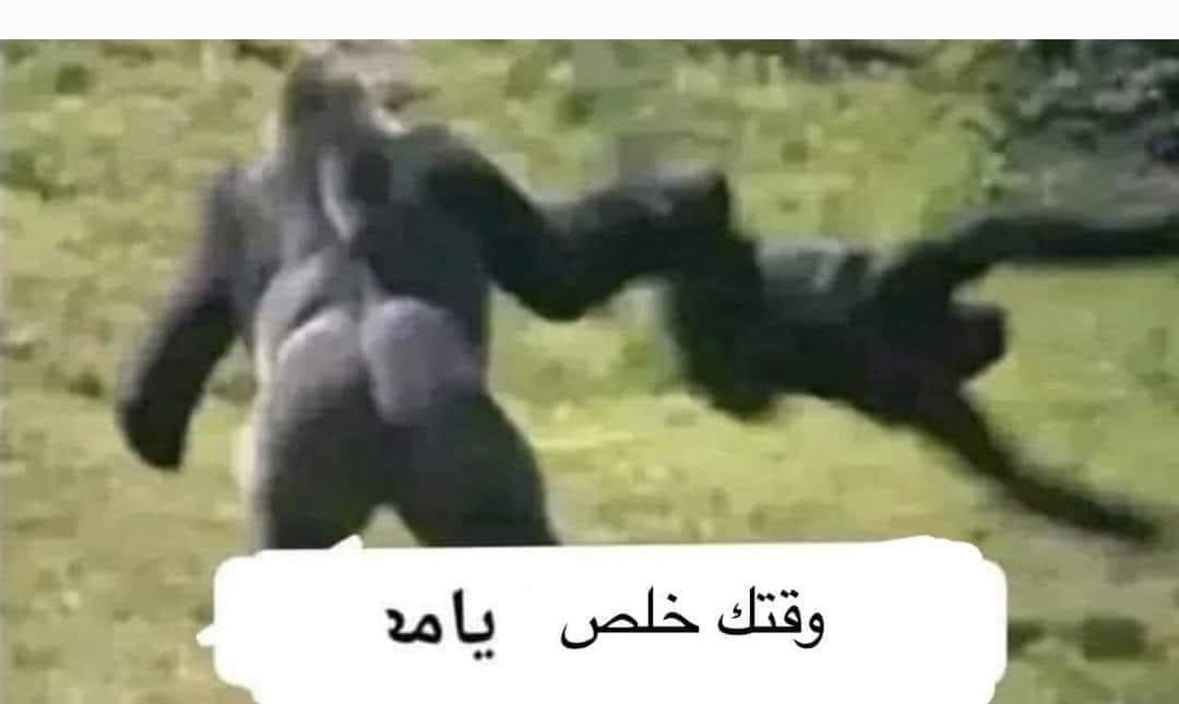 96065.jpg
