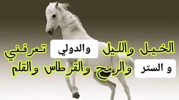 62957.jpg