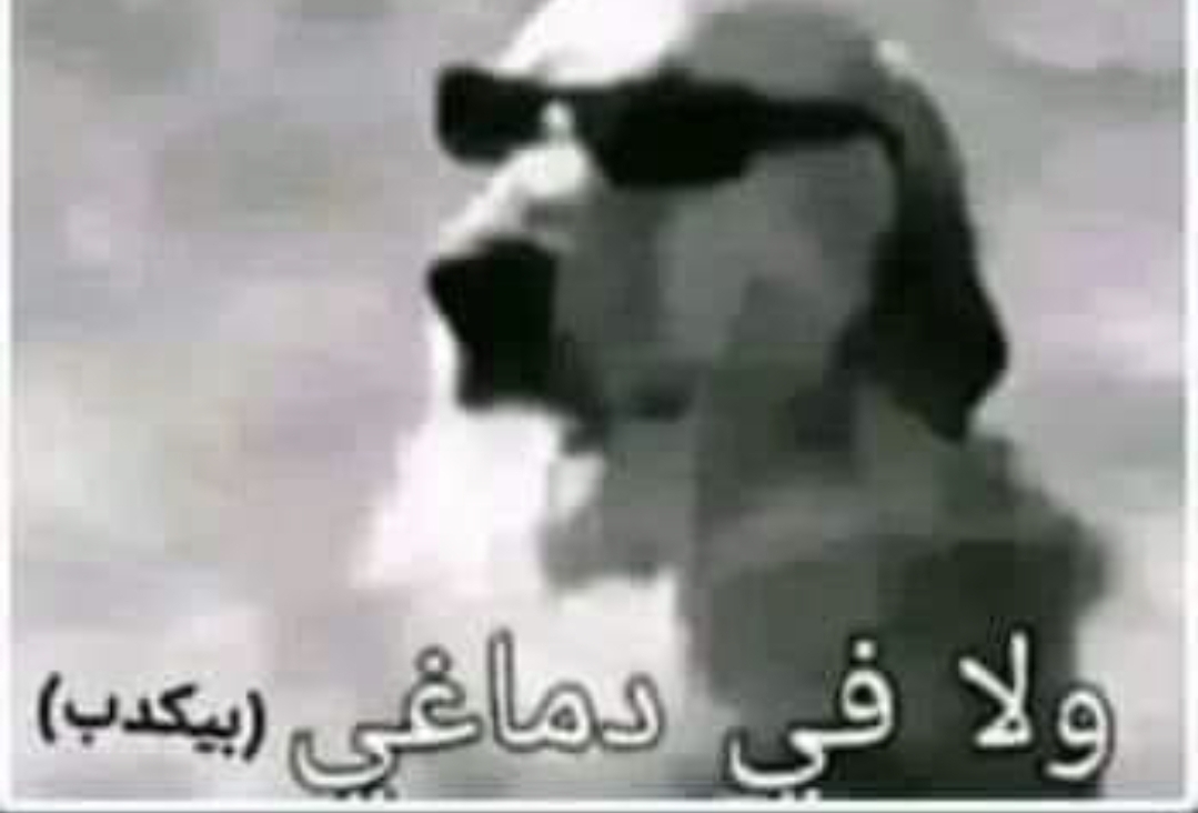 96304.jpg