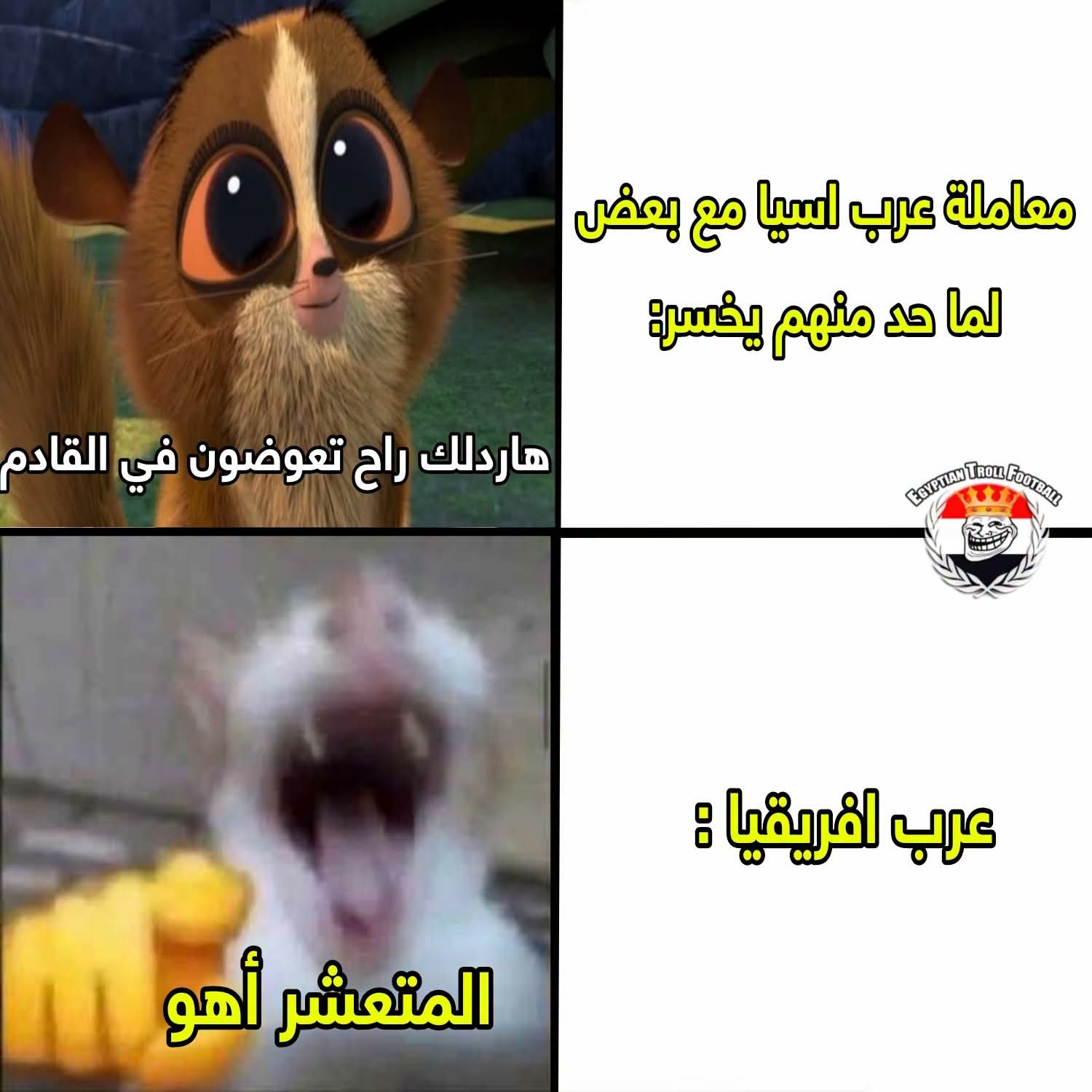 FB_IMG_1782079636118.jpg