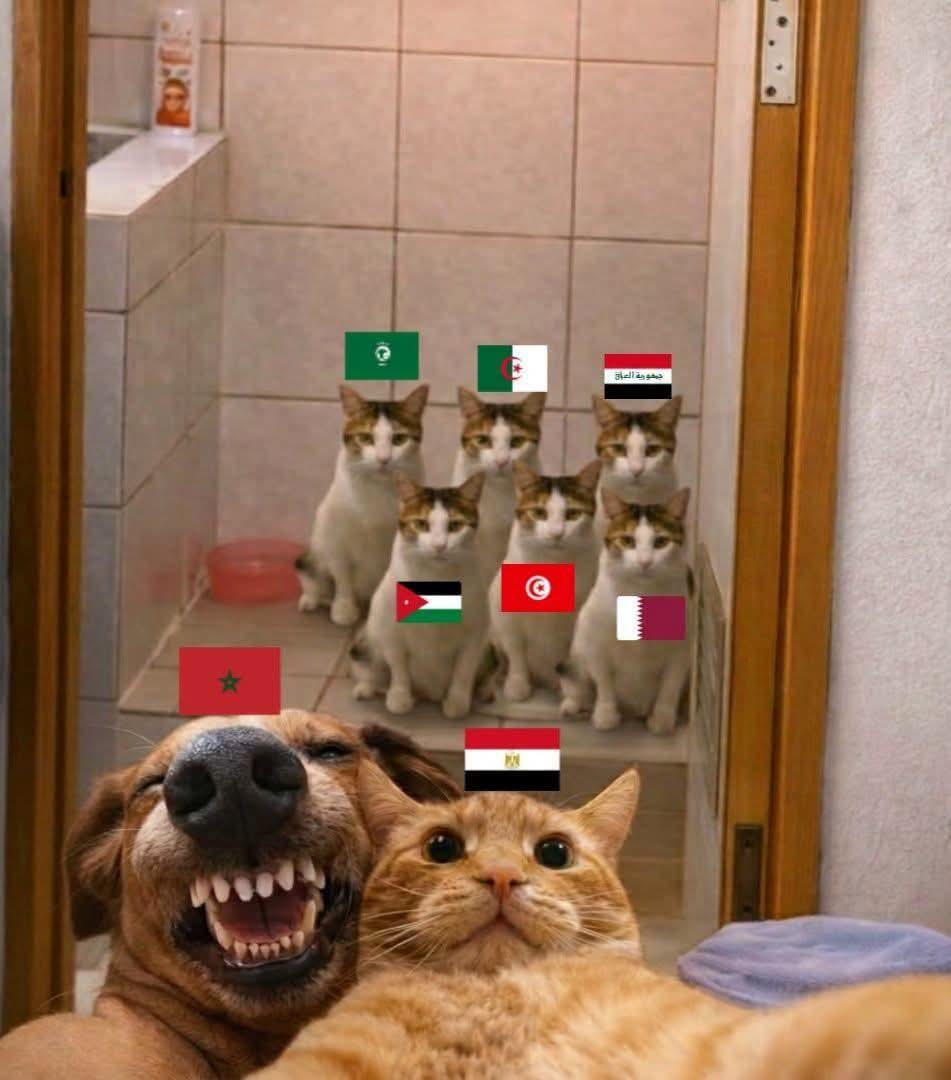 1782112297500.png