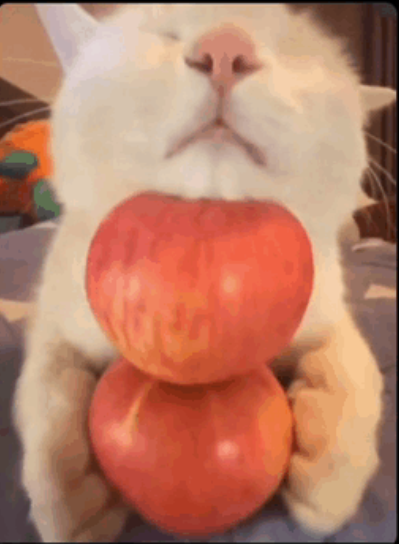 1782137595491.png