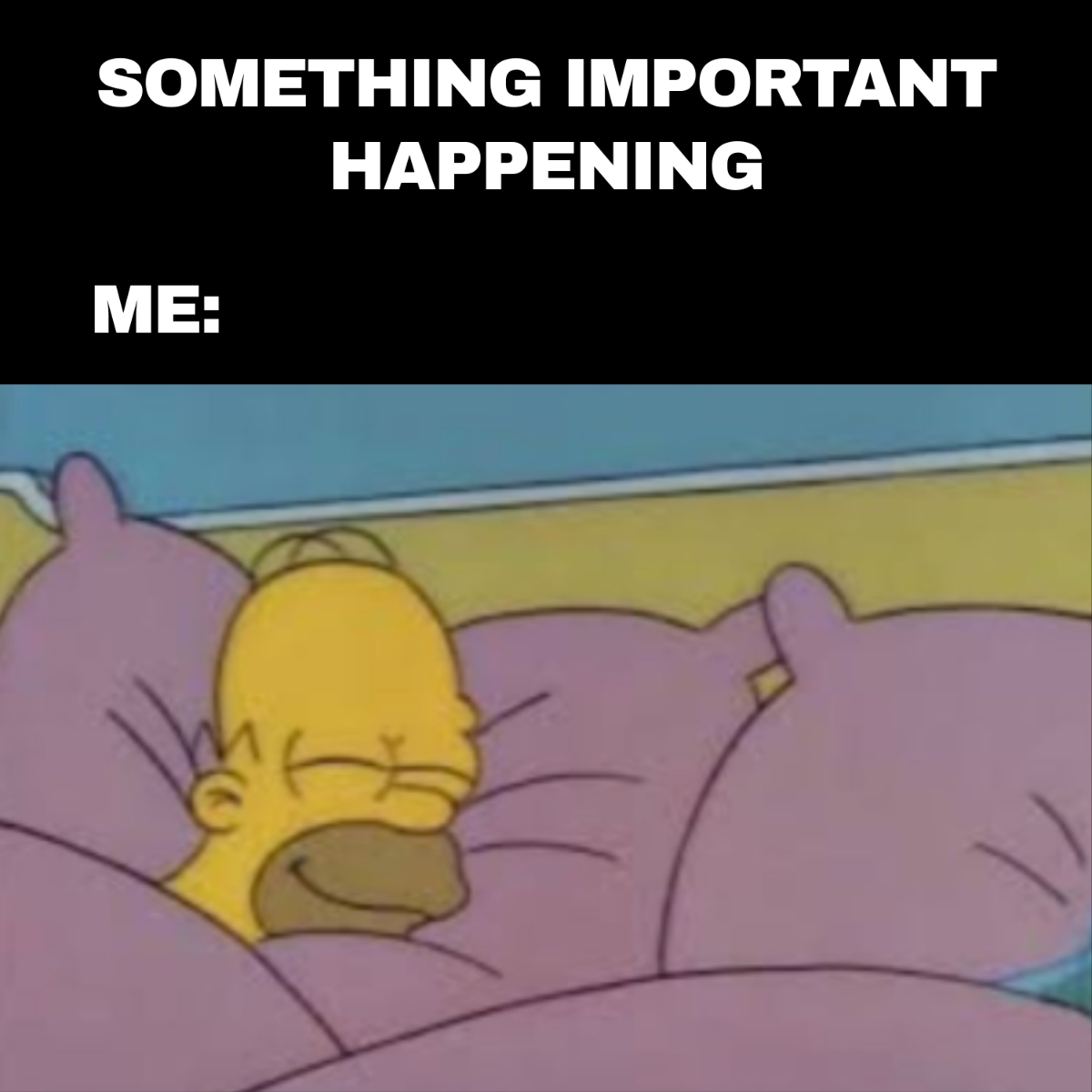 Sleeping-Meme-Template-edit-online.png