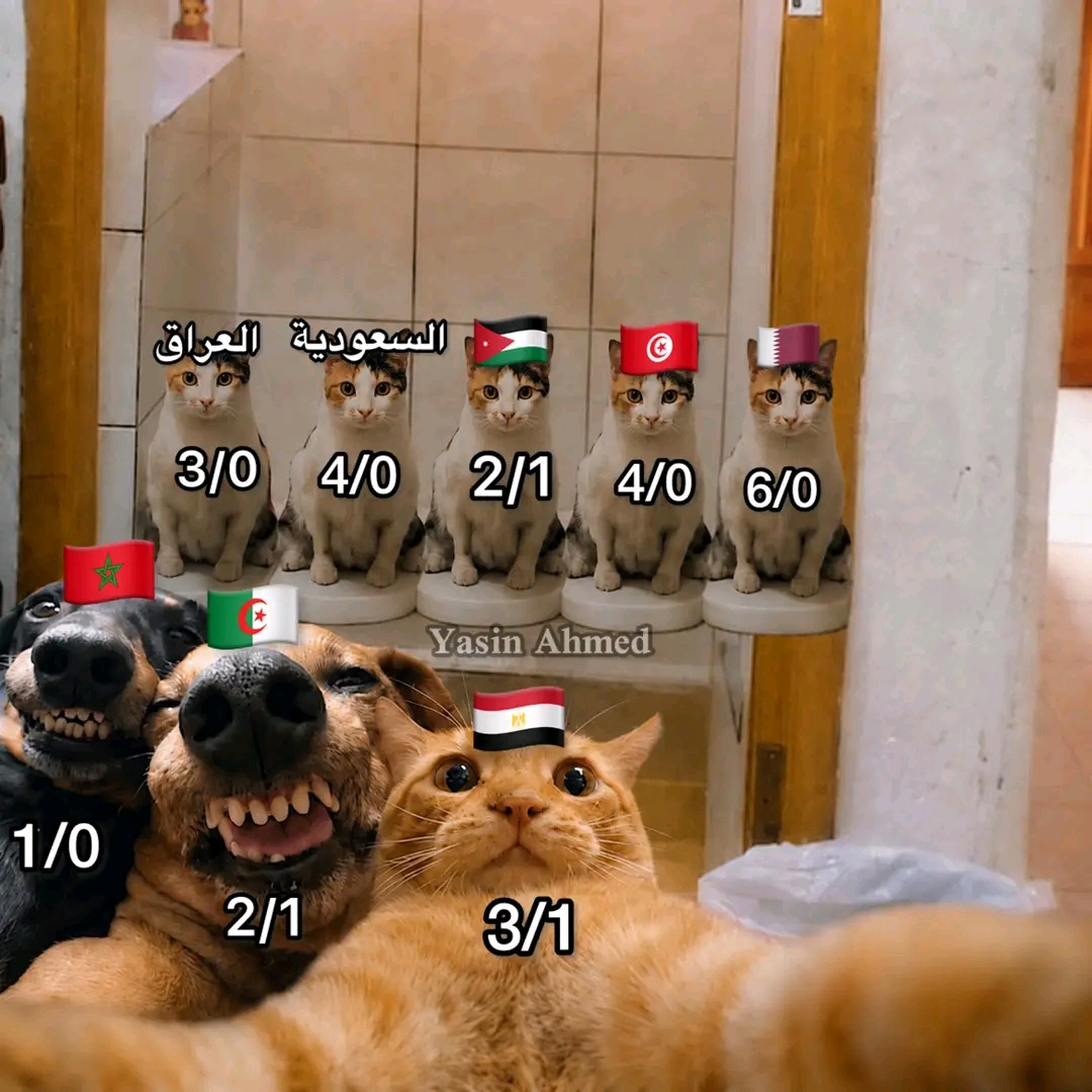 35104.jpg
