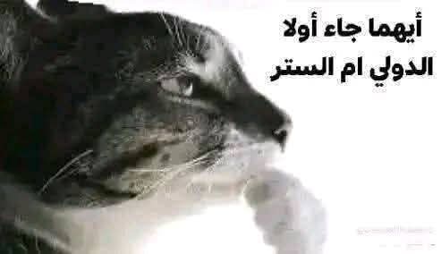 FB_IMG_1780675549922.jpg