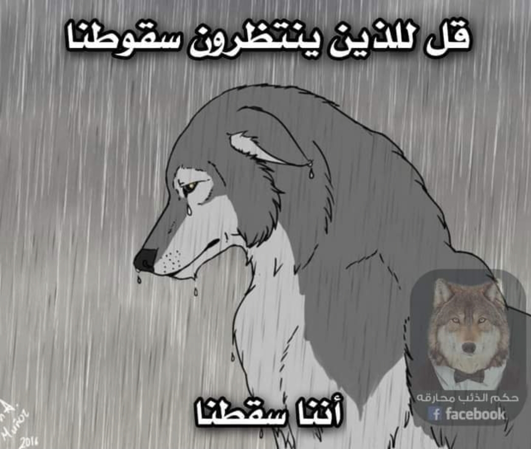 96782.jpg