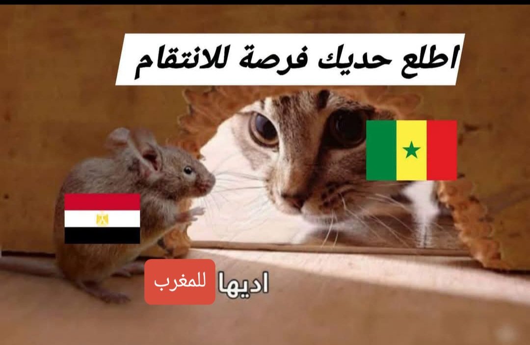 Screenshot_٢٠٢٦٠٦٢٧_٠٢٠٥٥١_Facebook.jpg