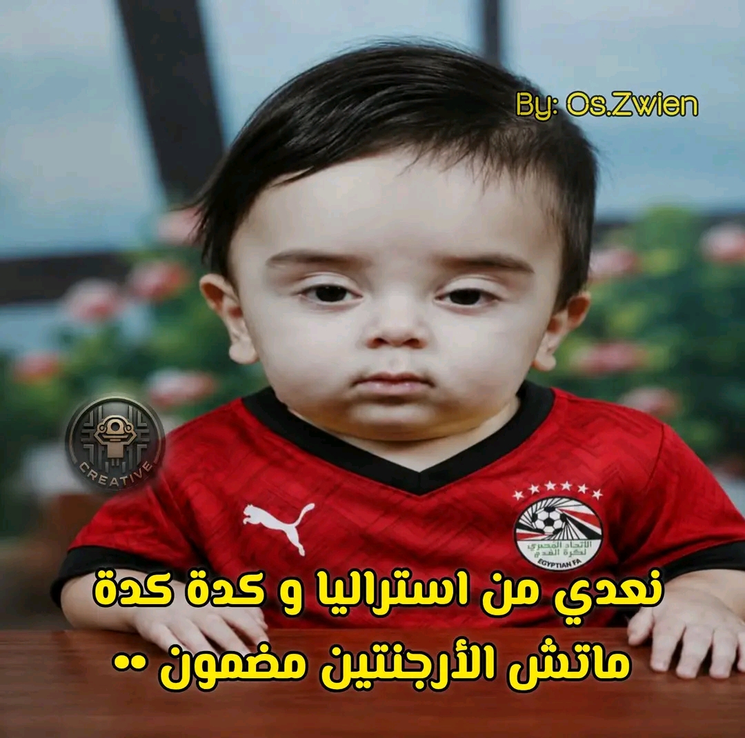 65331.jpg