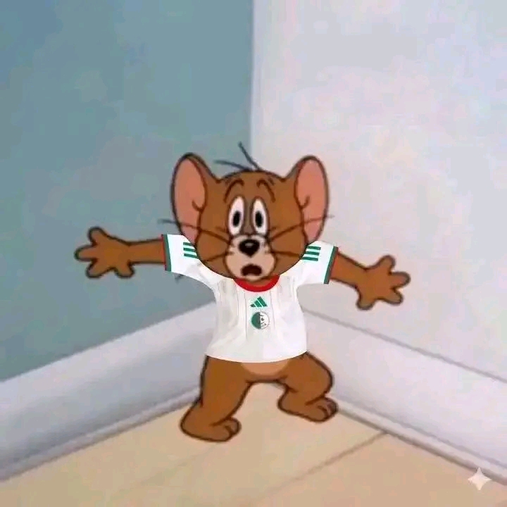 35522.jpg