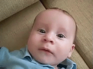 1783071428176.gif