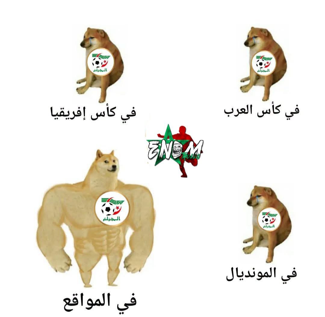 736397099_945092981918342_4330157239306069618_n.jpg