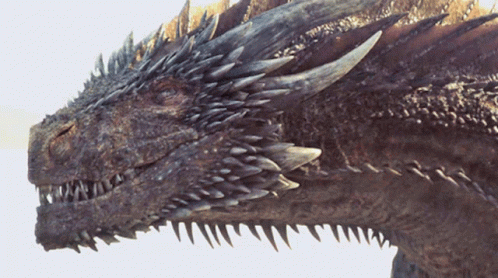 game-of-thrones-dragon.gif