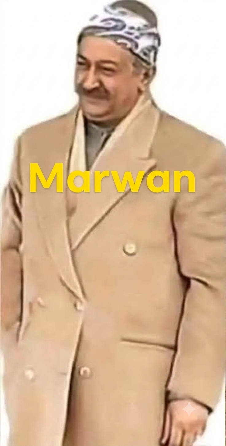 67491.png